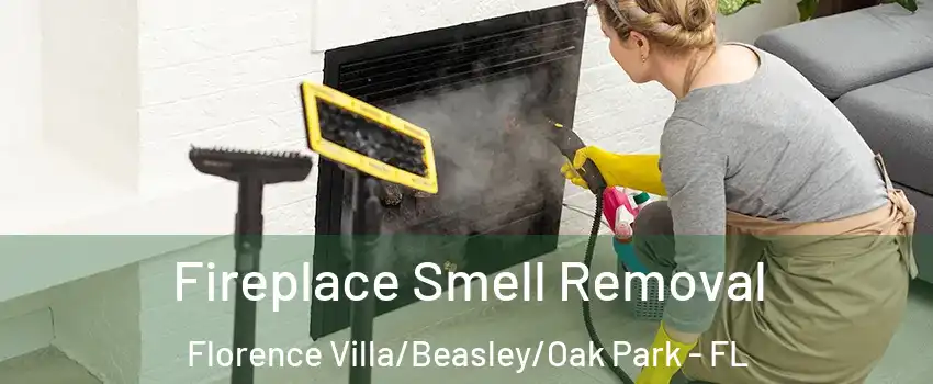Fireplace Smell Removal Florence Villa/Beasley/Oak Park - FL