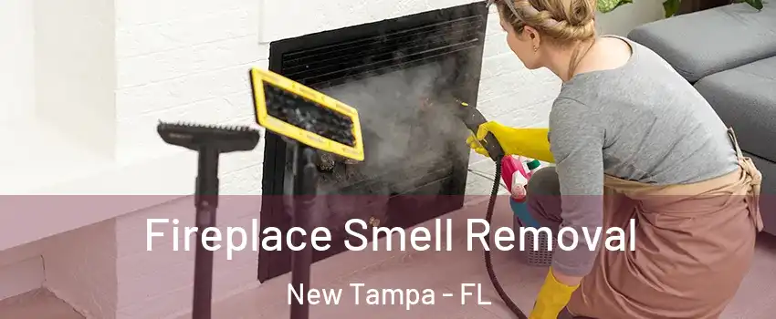 Fireplace Smell Removal New Tampa - FL