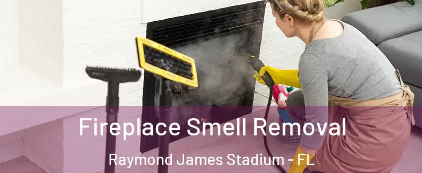 Fireplace Smell Removal Raymond James Stadium - FL