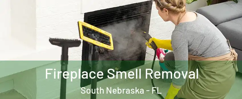 Fireplace Smell Removal South Nebraska - FL