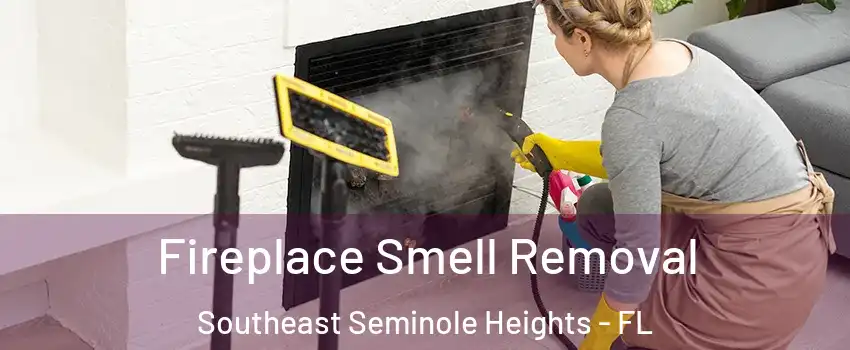 Fireplace Smell Removal Southeast Seminole Heights - FL