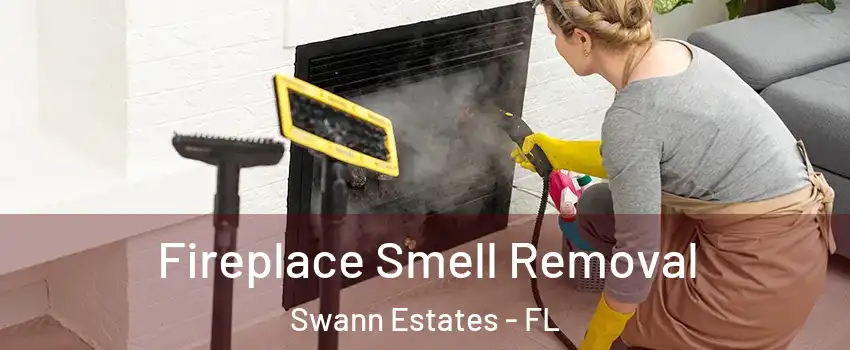Fireplace Smell Removal Swann Estates - FL