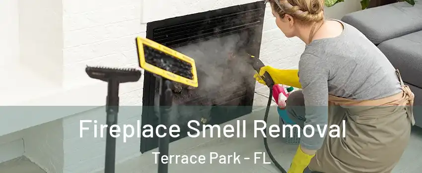 Fireplace Smell Removal Terrace Park - FL