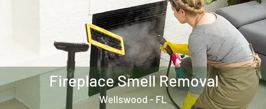 Fireplace Smell Removal Wellswood - FL