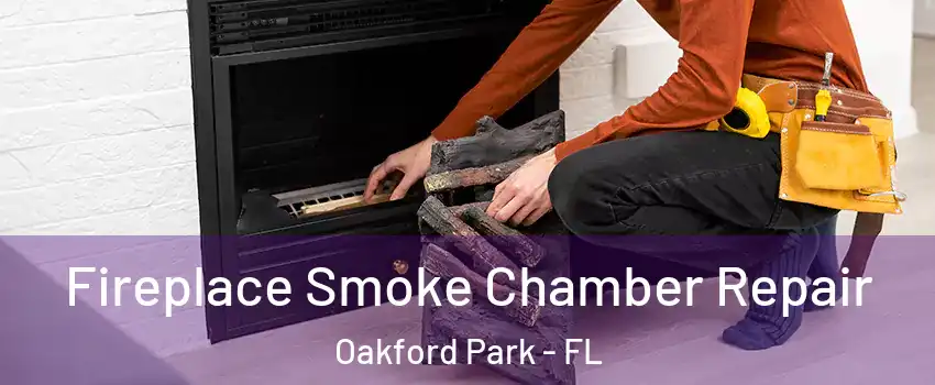 Fireplace Smoke Chamber Repair Oakford Park - FL