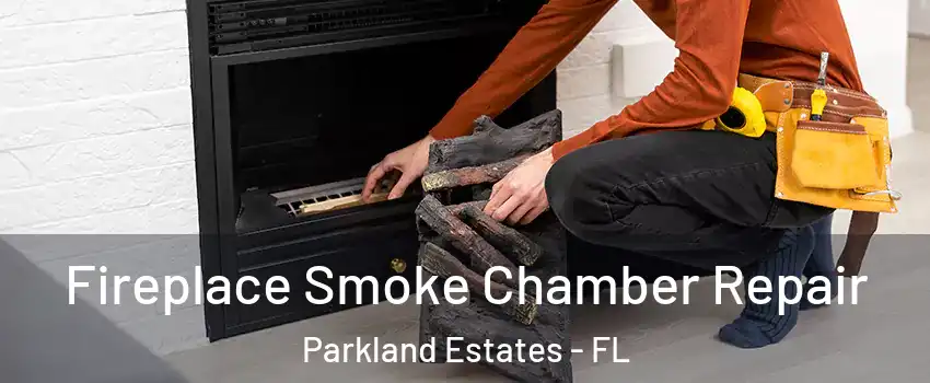 Fireplace Smoke Chamber Repair Parkland Estates - FL