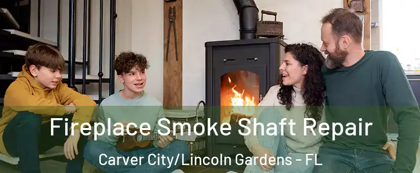 Fireplace Smoke Shaft Repair Carver City/Lincoln Gardens - FL