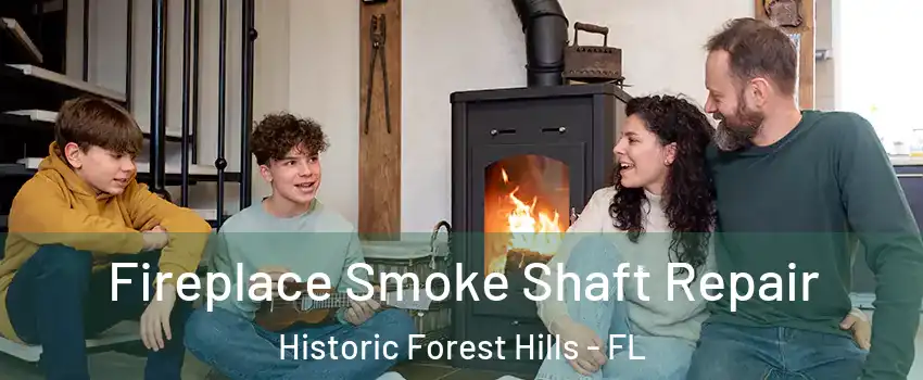 Fireplace Smoke Shaft Repair Historic Forest Hills - FL