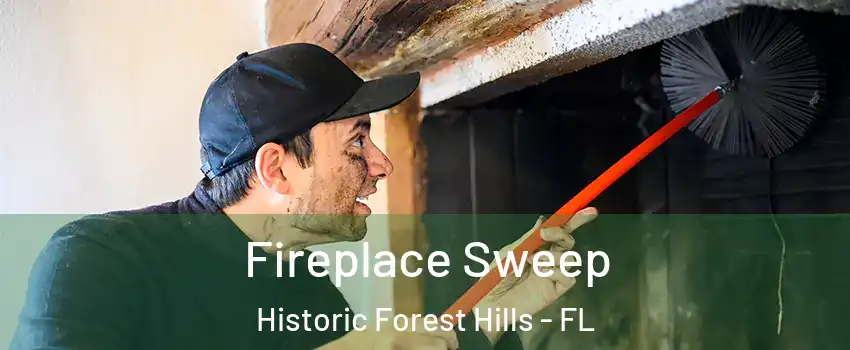 Fireplace Sweep Historic Forest Hills - FL