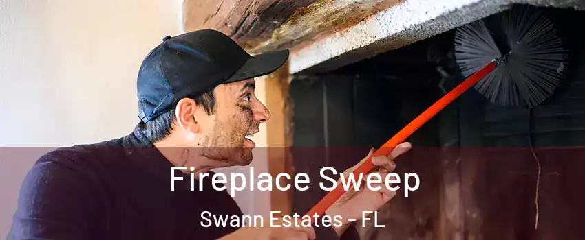 Fireplace Sweep Swann Estates - FL