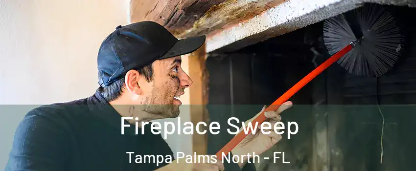 Fireplace Sweep Tampa Palms North - FL