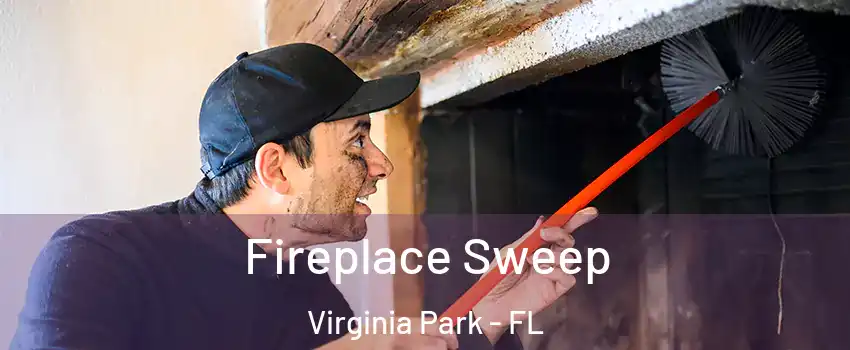 Fireplace Sweep Virginia Park - FL