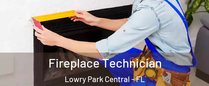 Fireplace Technician Lowry Park Central - FL