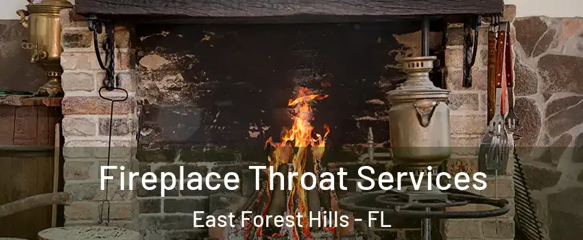 Fireplace Throat Services East Forest Hills - FL