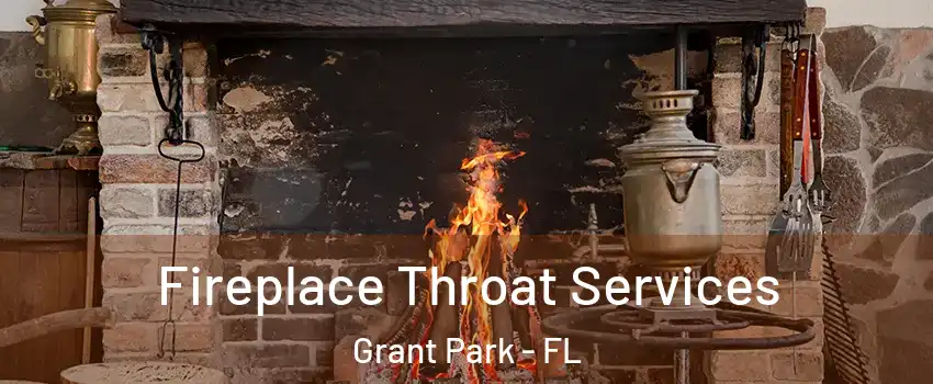 Fireplace Throat Services Grant Park - FL