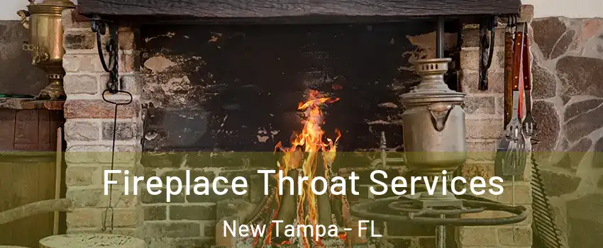 Fireplace Throat Services New Tampa - FL
