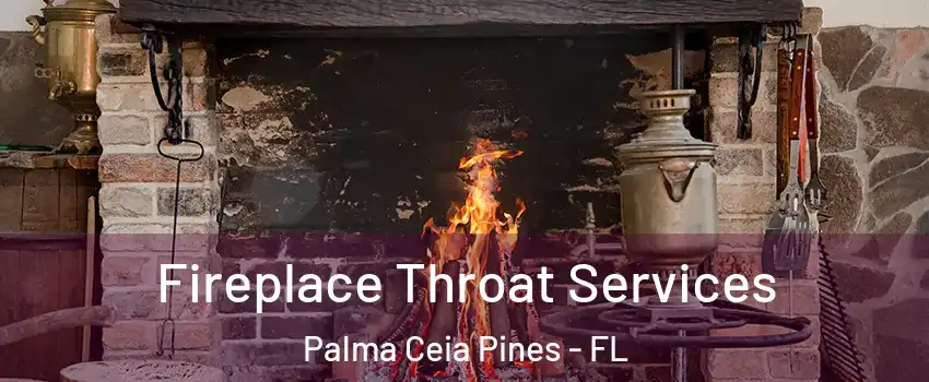 Fireplace Throat Services Palma Ceia Pines - FL