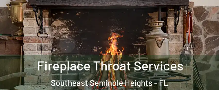 Fireplace Throat Services Southeast Seminole Heights - FL