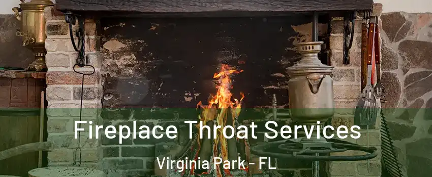 Fireplace Throat Services Virginia Park - FL