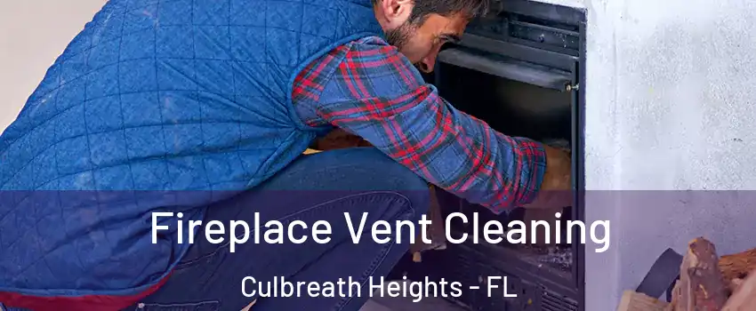 Fireplace Vent Cleaning Culbreath Heights - FL