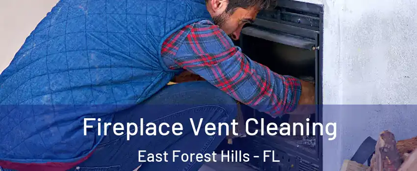 Fireplace Vent Cleaning East Forest Hills - FL