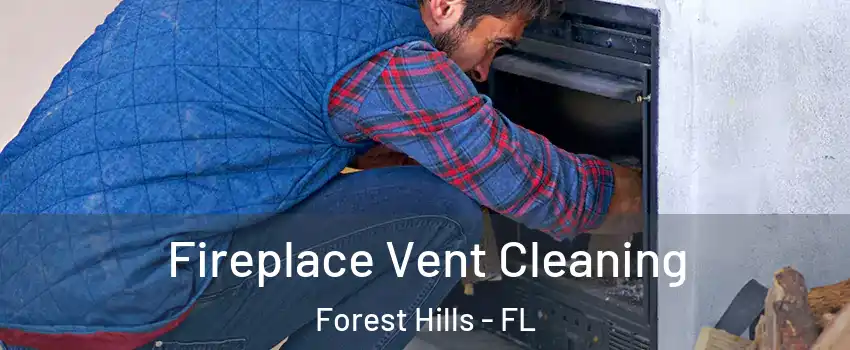 Fireplace Vent Cleaning Forest Hills - FL