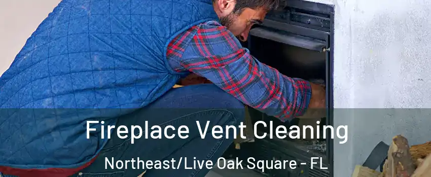Fireplace Vent Cleaning Northeast/Live Oak Square - FL