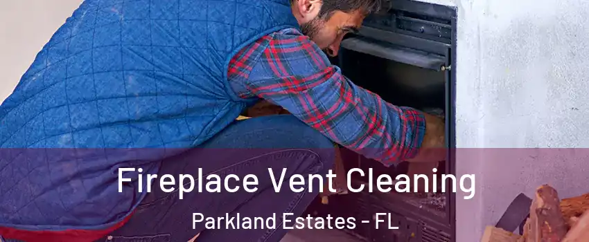 Fireplace Vent Cleaning Parkland Estates - FL