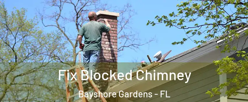 Fix Blocked Chimney Bayshore Gardens - FL