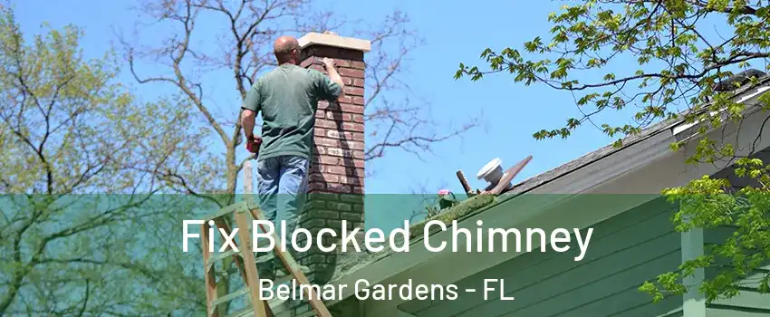 Fix Blocked Chimney Belmar Gardens - FL