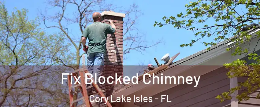 Fix Blocked Chimney Cory Lake Isles - FL