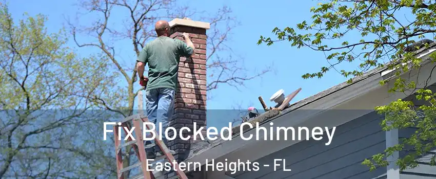 Fix Blocked Chimney Eastern Heights - FL