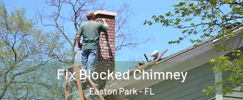 Fix Blocked Chimney Easton Park - FL
