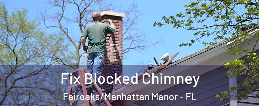 Fix Blocked Chimney Fairoaks/Manhattan Manor - FL