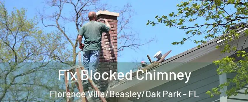Fix Blocked Chimney Florence Villa/Beasley/Oak Park - FL