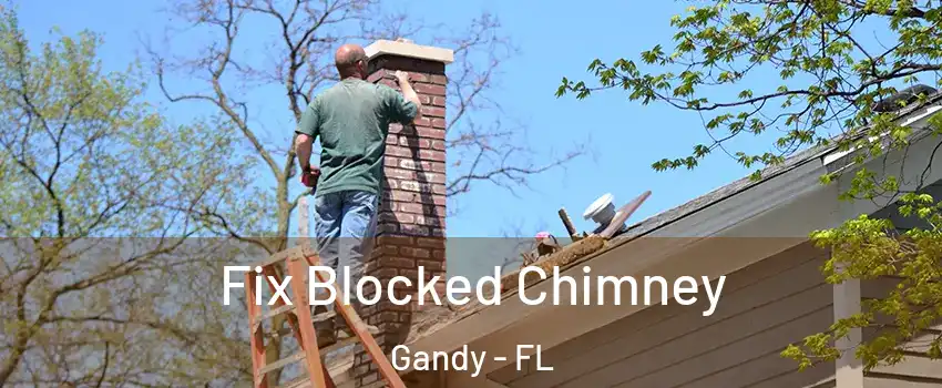 Fix Blocked Chimney Gandy - FL