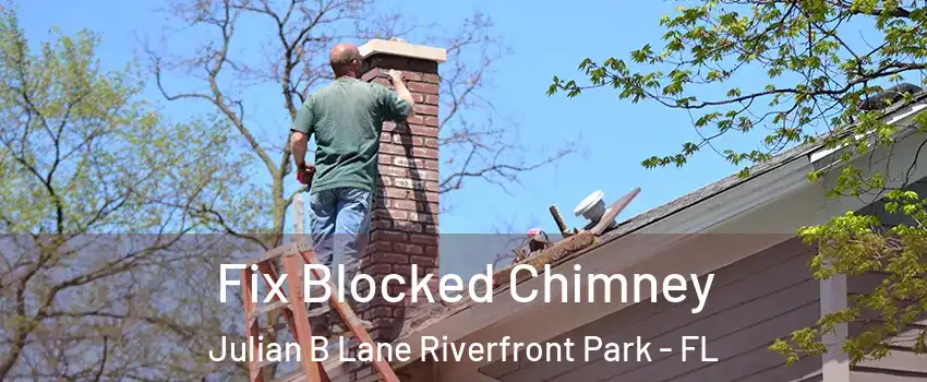 Fix Blocked Chimney Julian B Lane Riverfront Park - FL