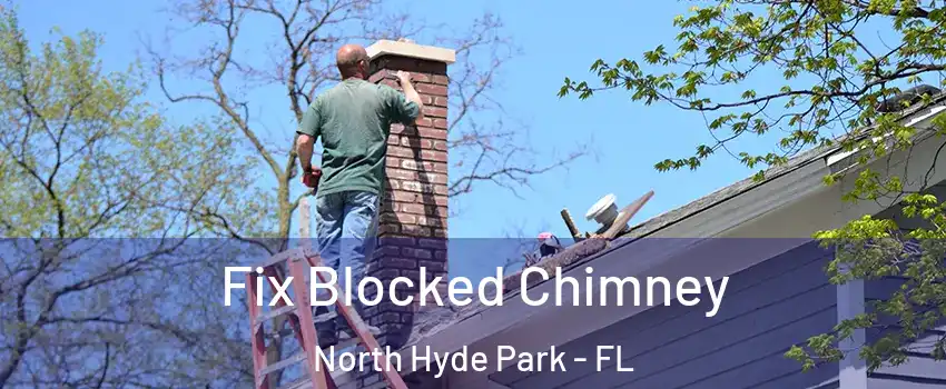 Fix Blocked Chimney North Hyde Park - FL