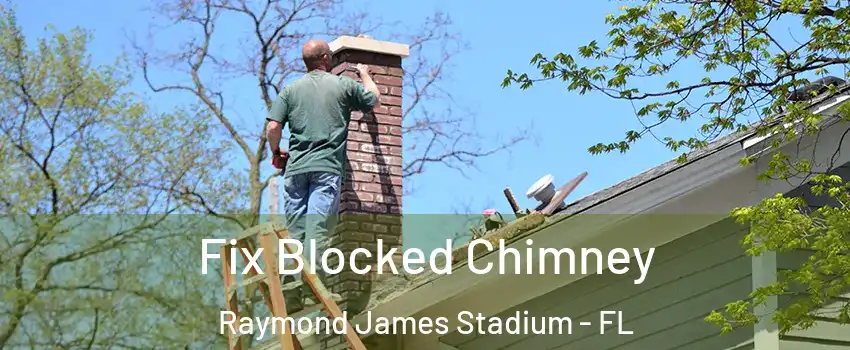 Fix Blocked Chimney Raymond James Stadium - FL