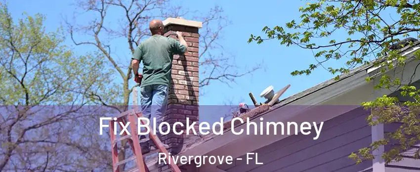 Fix Blocked Chimney Rivergrove - FL