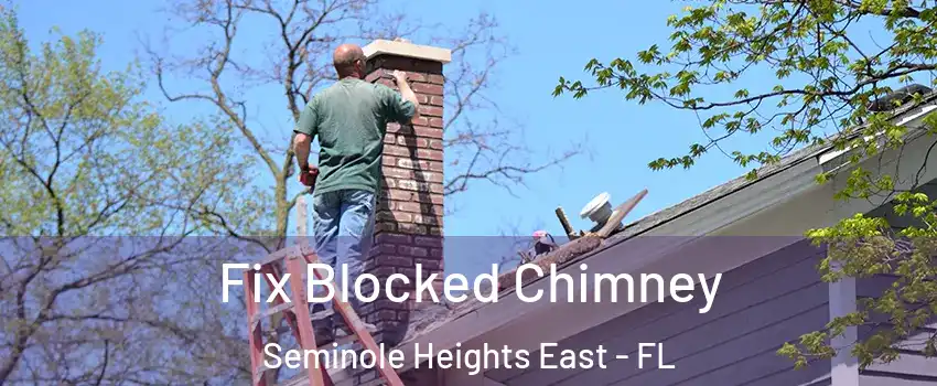 Fix Blocked Chimney Seminole Heights East - FL