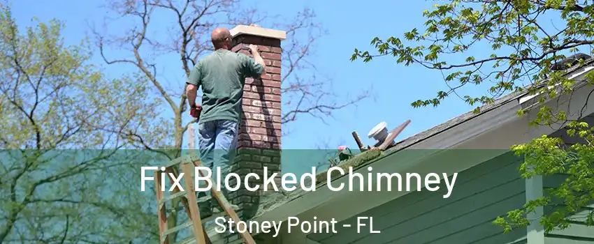 Fix Blocked Chimney Stoney Point - FL