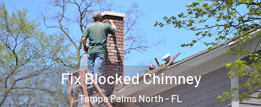 Fix Blocked Chimney Tampa Palms North - FL