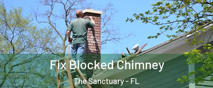 Fix Blocked Chimney The Sanctuary - FL