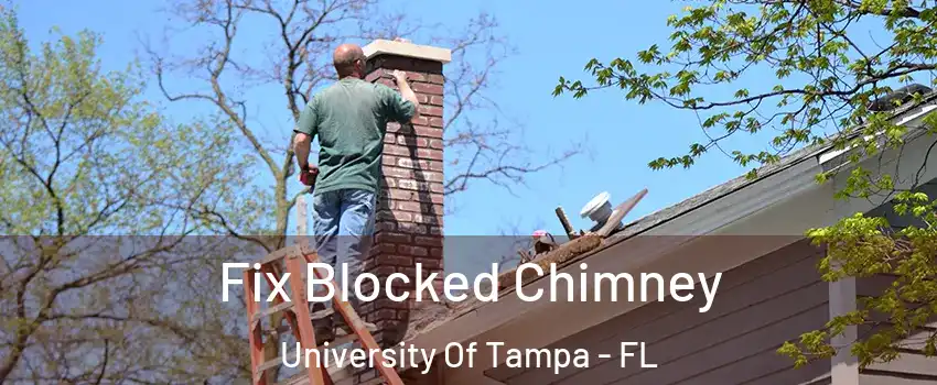 Fix Blocked Chimney University Of Tampa - FL