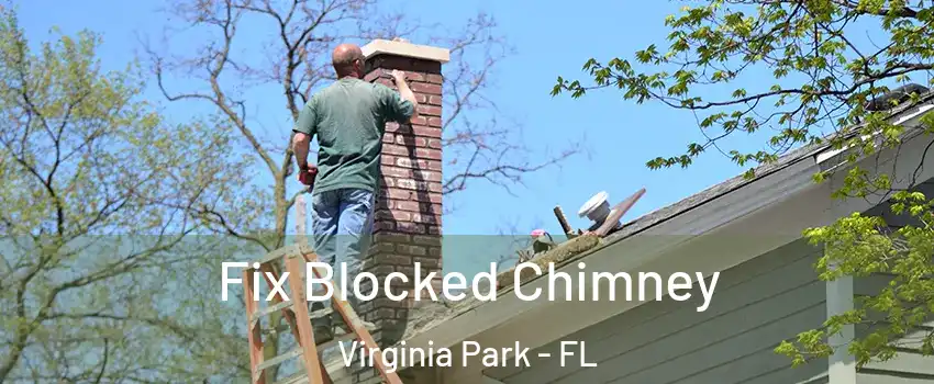 Fix Blocked Chimney Virginia Park - FL