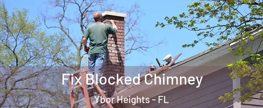 Fix Blocked Chimney Ybor Heights - FL