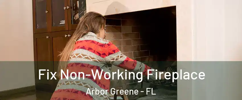 Fix Non-Working Fireplace Arbor Greene - FL
