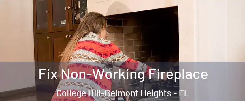 Fix Non-Working Fireplace College Hill-Belmont Heights - FL