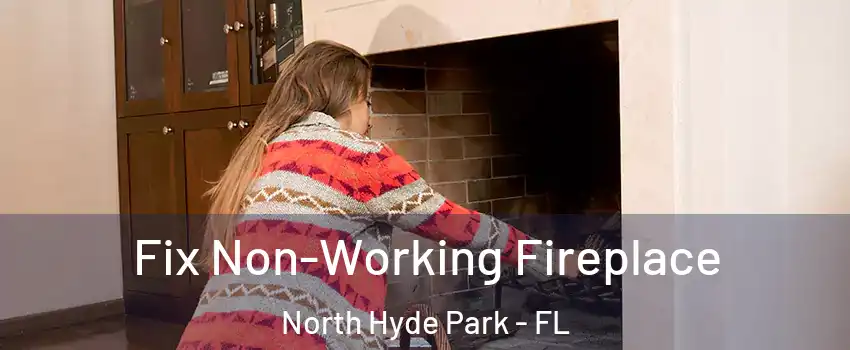 Fix Non-Working Fireplace North Hyde Park - FL